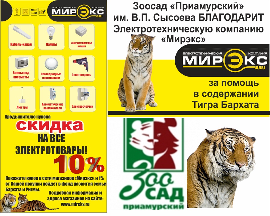 Сохранение Амурского тигра Сохранение Амурского тигра