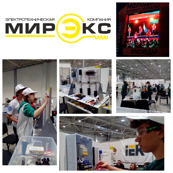 Национальный чемпионат «Молодые профессионалы» (WorldSkills Russia) Национальный чемпионат «Молодые профессионалы» (WorldSkills Russia)